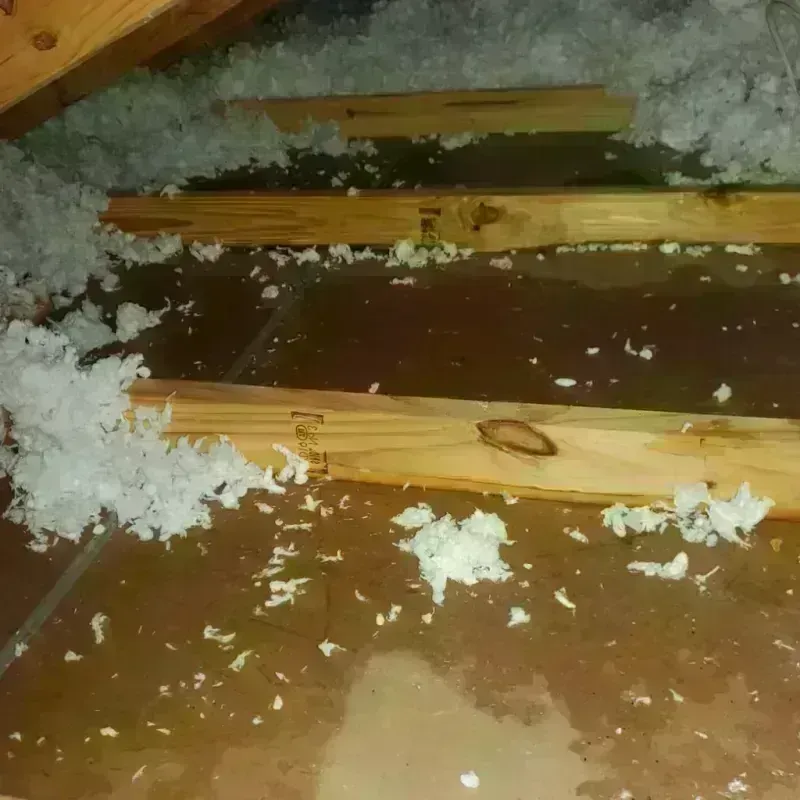 Attic Water Damage in Matheny, CA